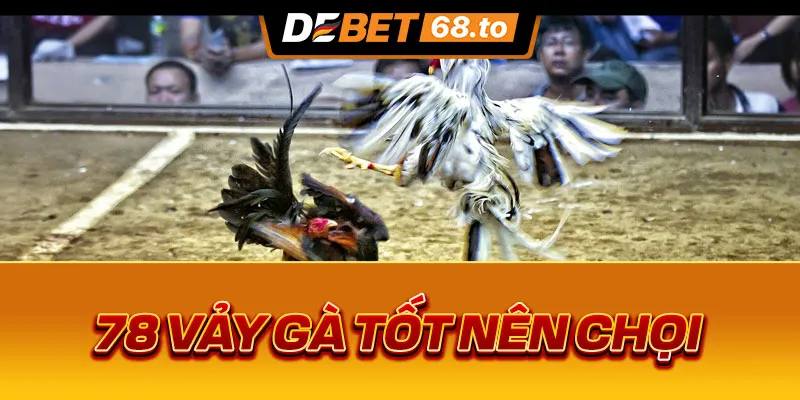 78-vay-ga-tot-nen-choi-1