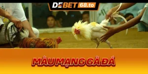 mau-mang-ga-da-1