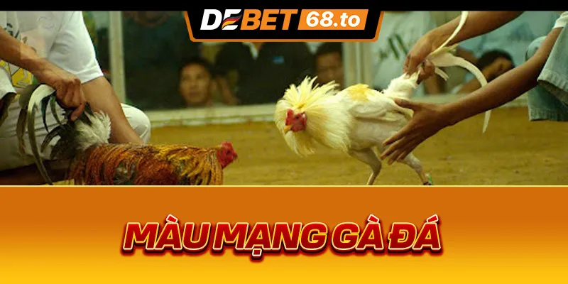 mau-mang-ga-da-1