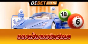 soi-cau-ngu-hanh-1